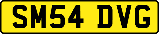 SM54DVG