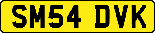 SM54DVK
