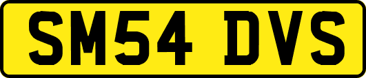 SM54DVS