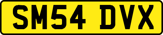 SM54DVX