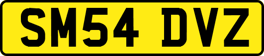 SM54DVZ