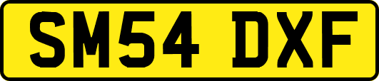 SM54DXF