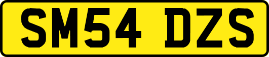 SM54DZS