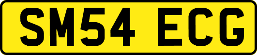 SM54ECG