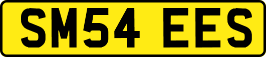 SM54EES