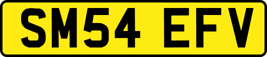 SM54EFV