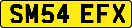 SM54EFX
