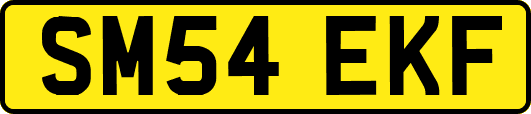 SM54EKF