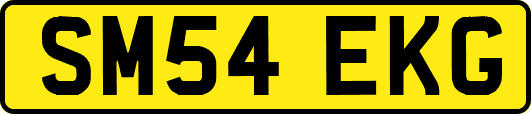 SM54EKG