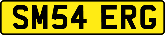 SM54ERG