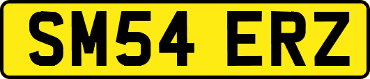 SM54ERZ