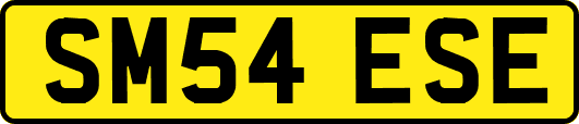 SM54ESE