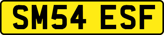 SM54ESF
