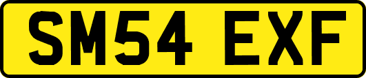 SM54EXF
