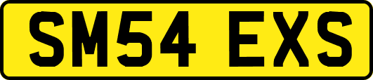 SM54EXS