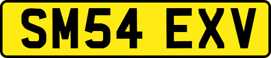 SM54EXV