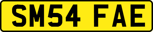 SM54FAE