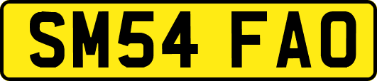 SM54FAO