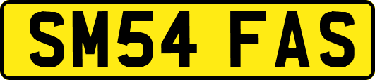 SM54FAS