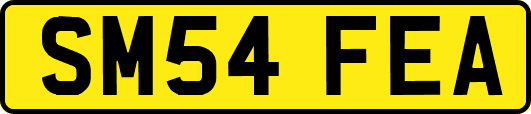 SM54FEA