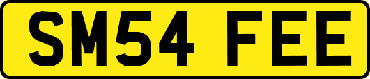 SM54FEE