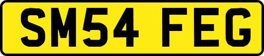 SM54FEG