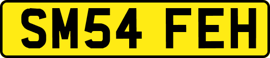 SM54FEH