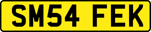 SM54FEK