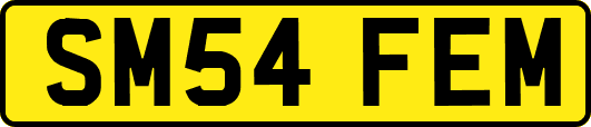 SM54FEM