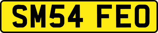 SM54FEO