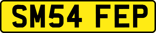 SM54FEP