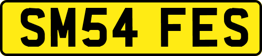 SM54FES