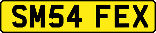SM54FEX