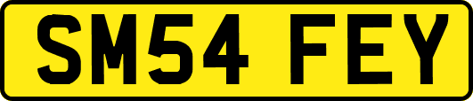 SM54FEY