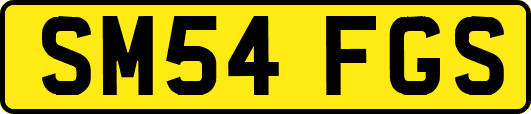 SM54FGS