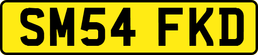 SM54FKD
