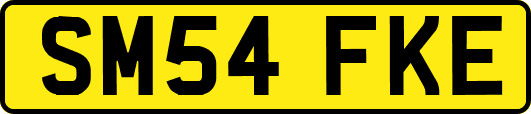 SM54FKE