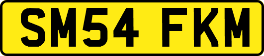 SM54FKM