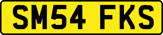 SM54FKS