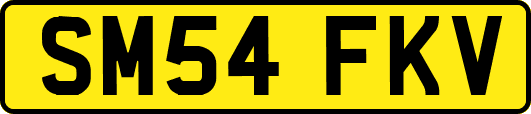 SM54FKV