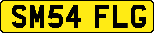 SM54FLG