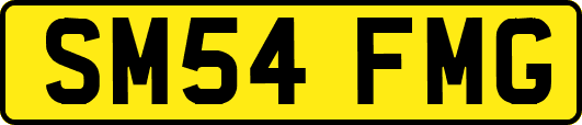 SM54FMG