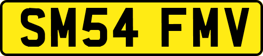 SM54FMV