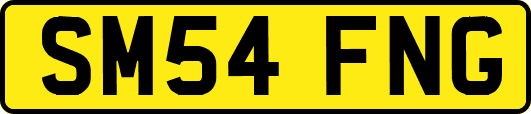 SM54FNG