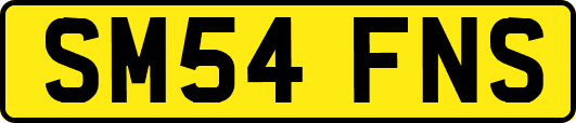 SM54FNS