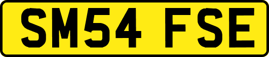 SM54FSE