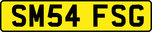 SM54FSG