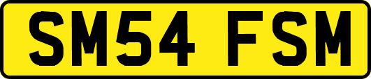 SM54FSM