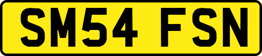 SM54FSN