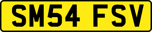 SM54FSV